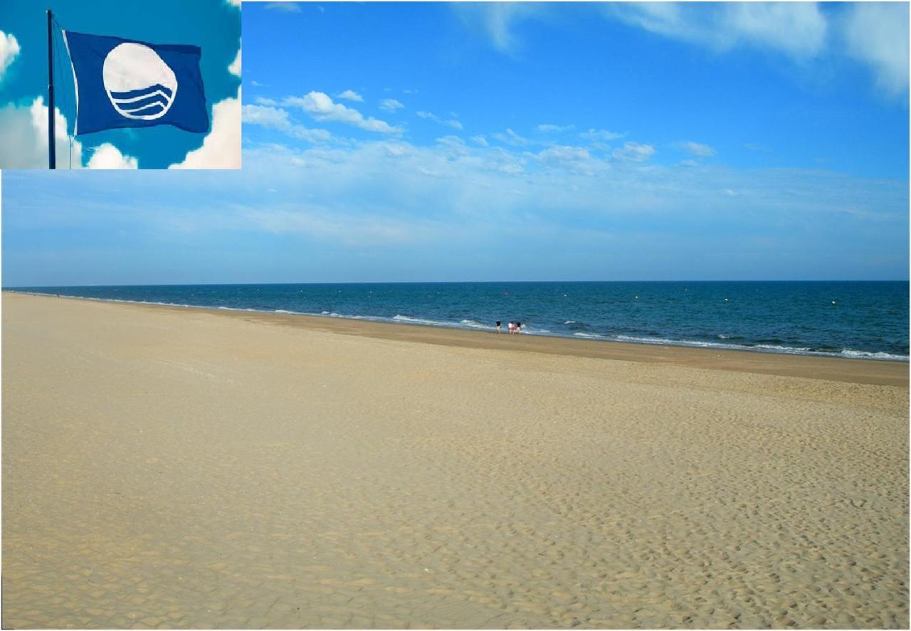 Apartamento Cerca Del Mar Oliva Buitenkant foto